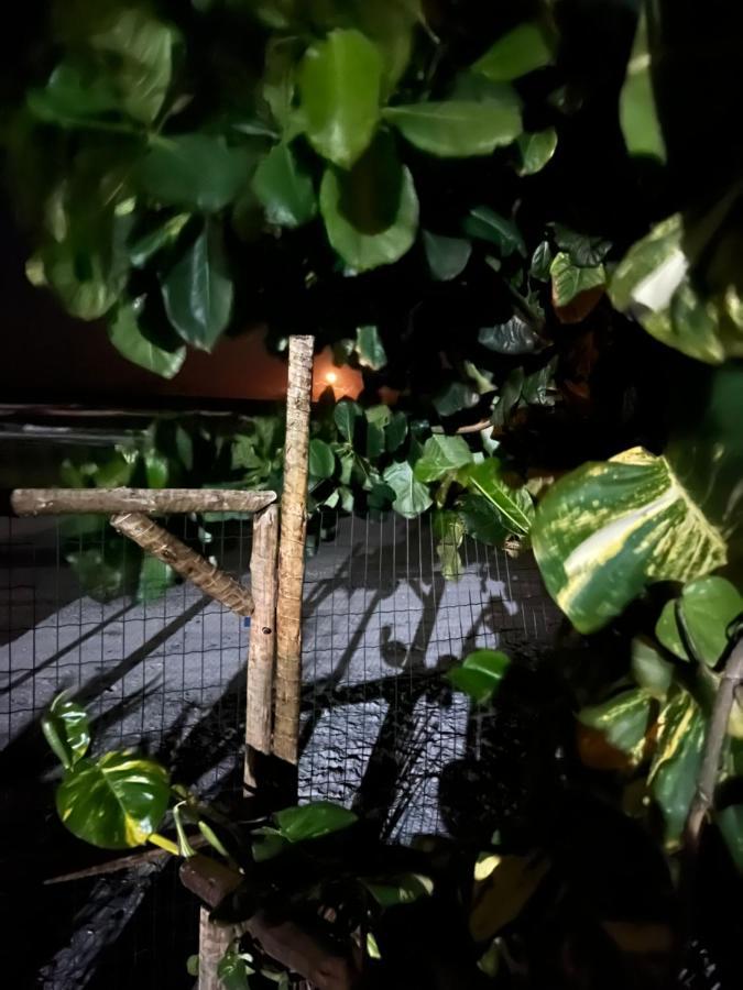 Vila Dos Gnomos Paraiso Mistico Pe Na Areia Ilhéus Eksteriør billede